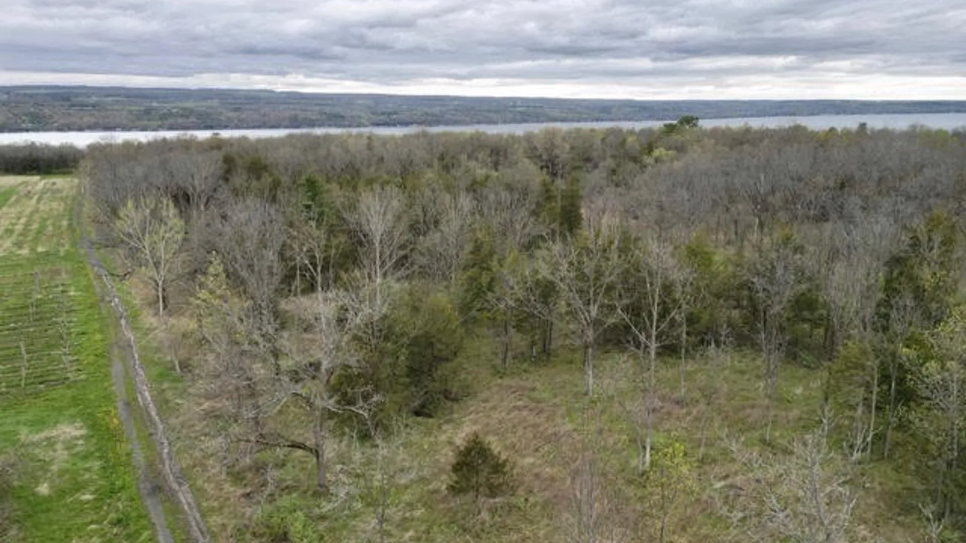 Property at Parcel 2  9750 Route 414, Lodi, NY 14860 8