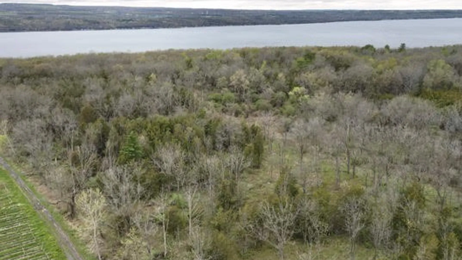 Property at Parcel 2  9750 Route 414, Lodi, NY 14860 9