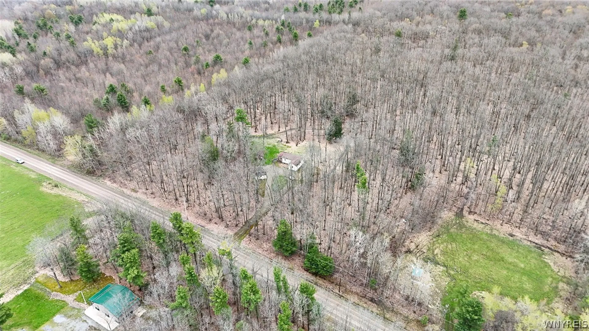 Property at 4603 Chapman Road, Granger, NY 14846 13