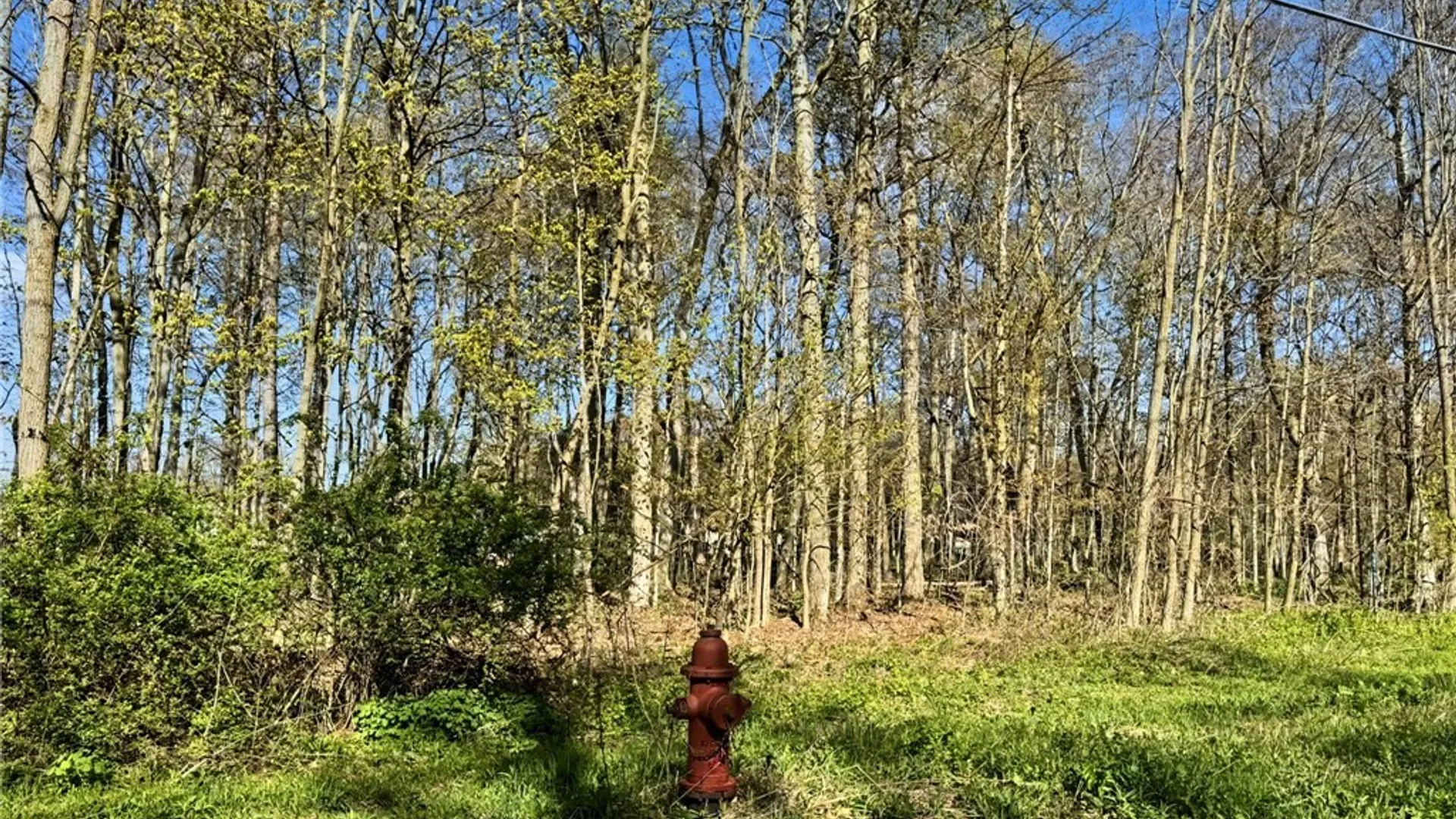 Property at Elm Street, Groton, NY 13073 3