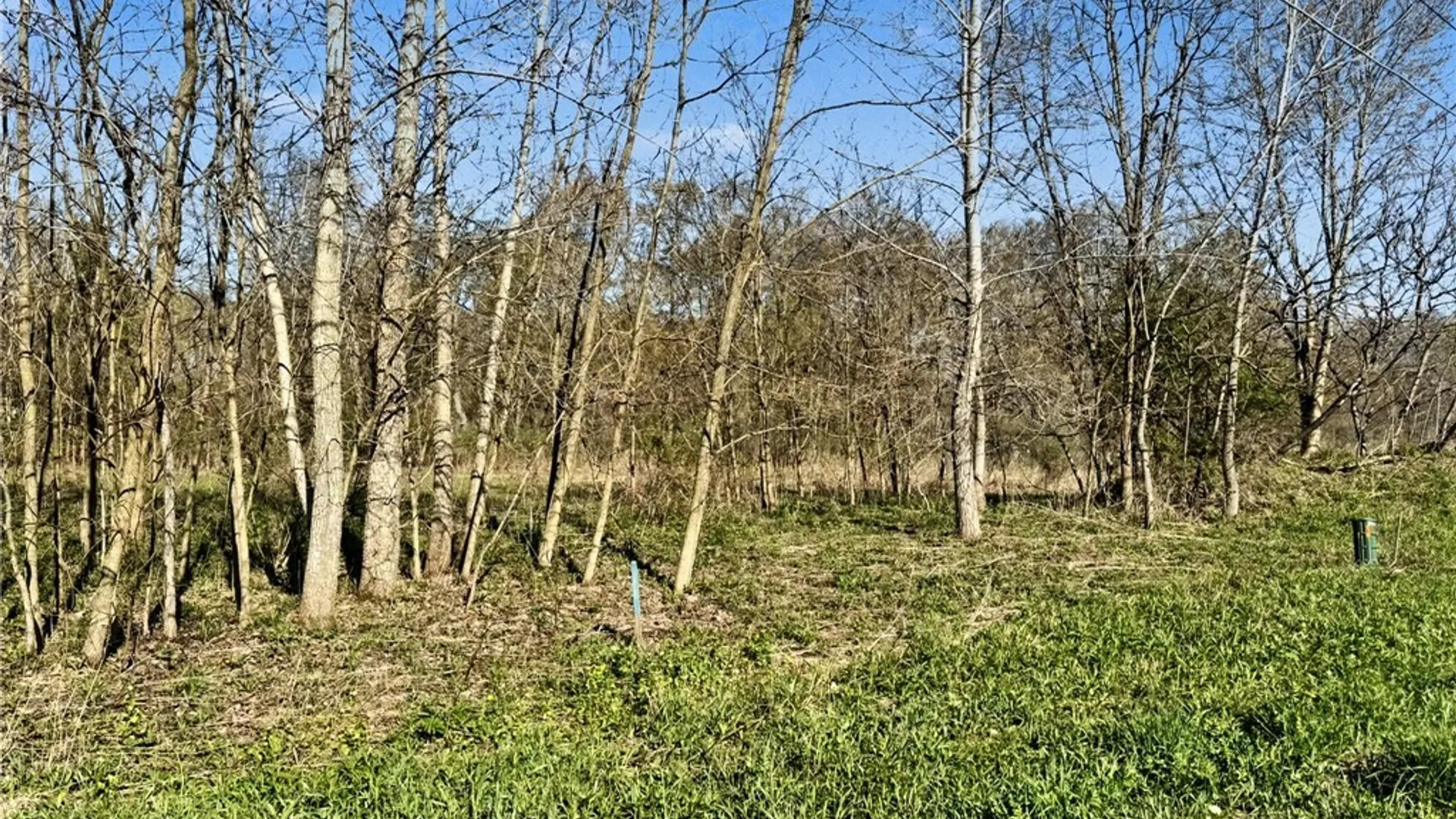 Property at Elm Street, Groton, NY 13073 5