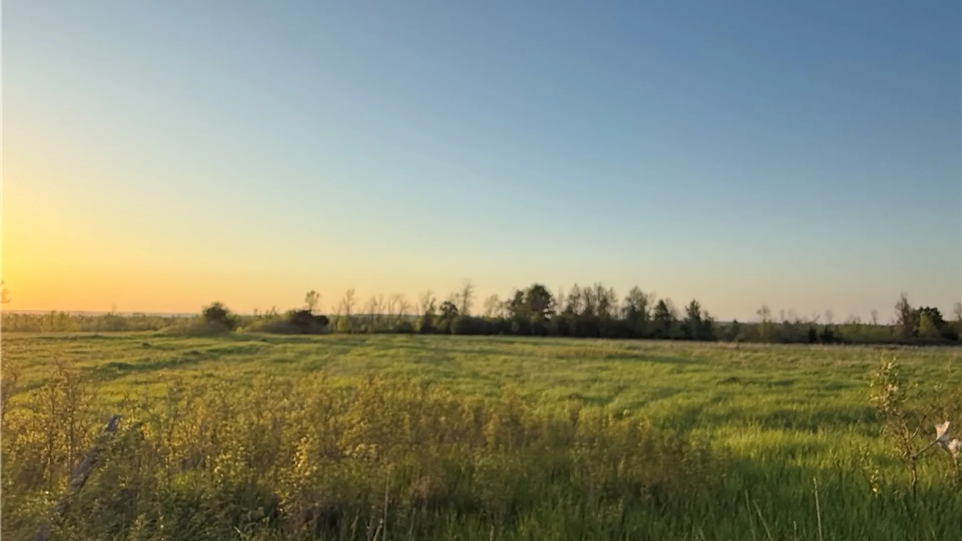 Property at County Route 6, Hammond, NY 13646 7