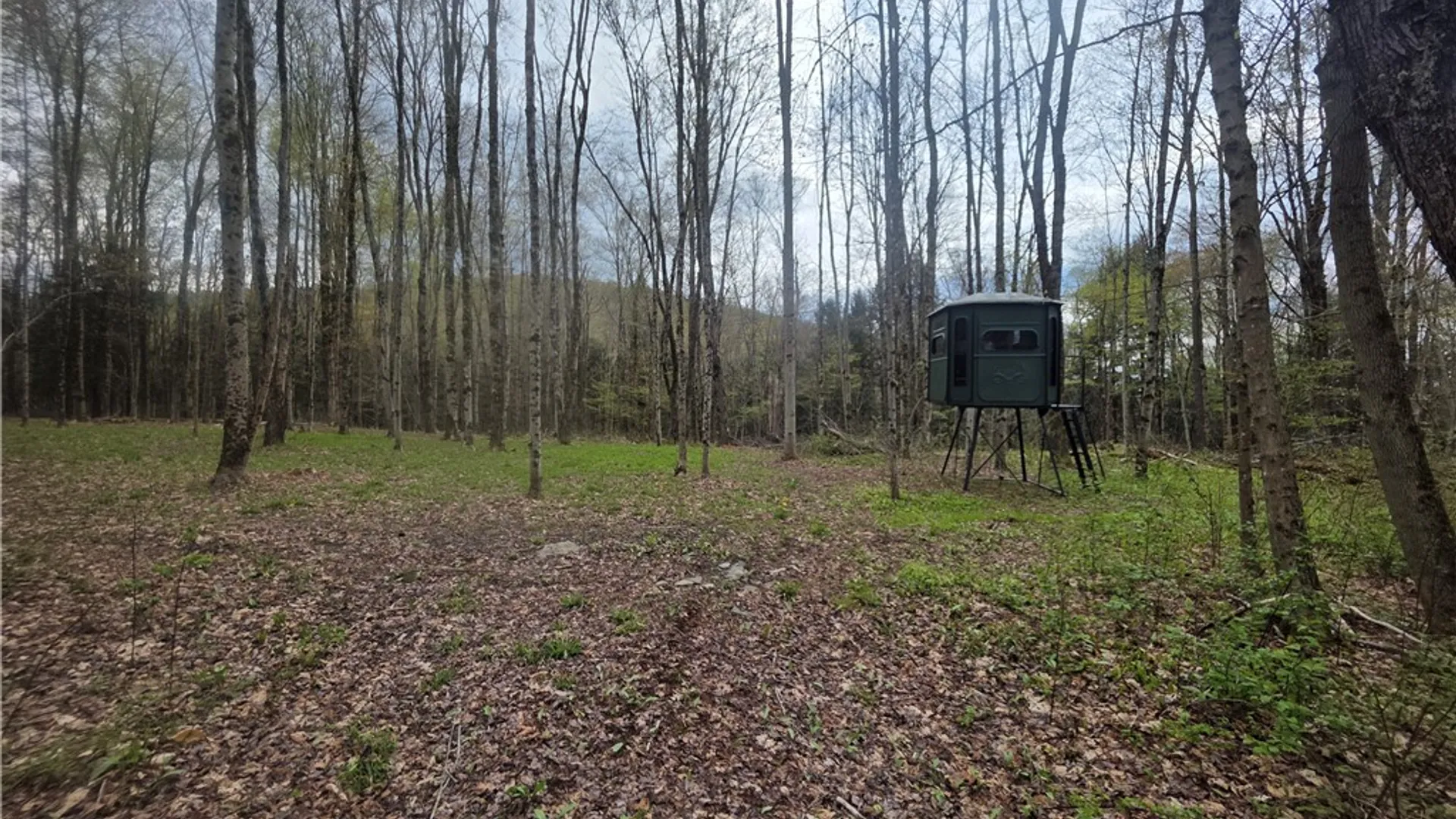 Property at Clarence Church Road, Otselic, NY 13155 7