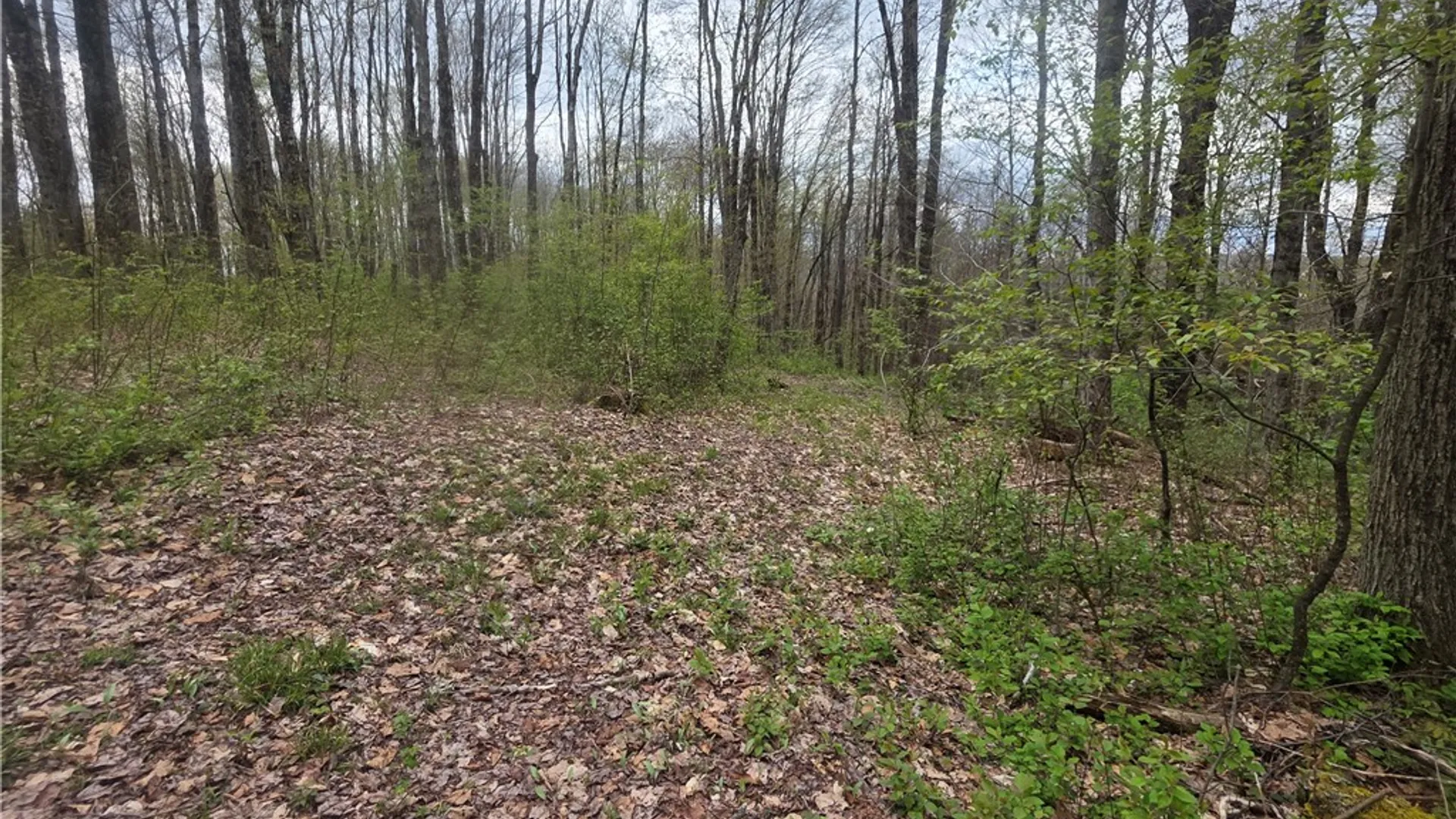 Property at Clarence Church Road, Otselic, NY 13155 24
