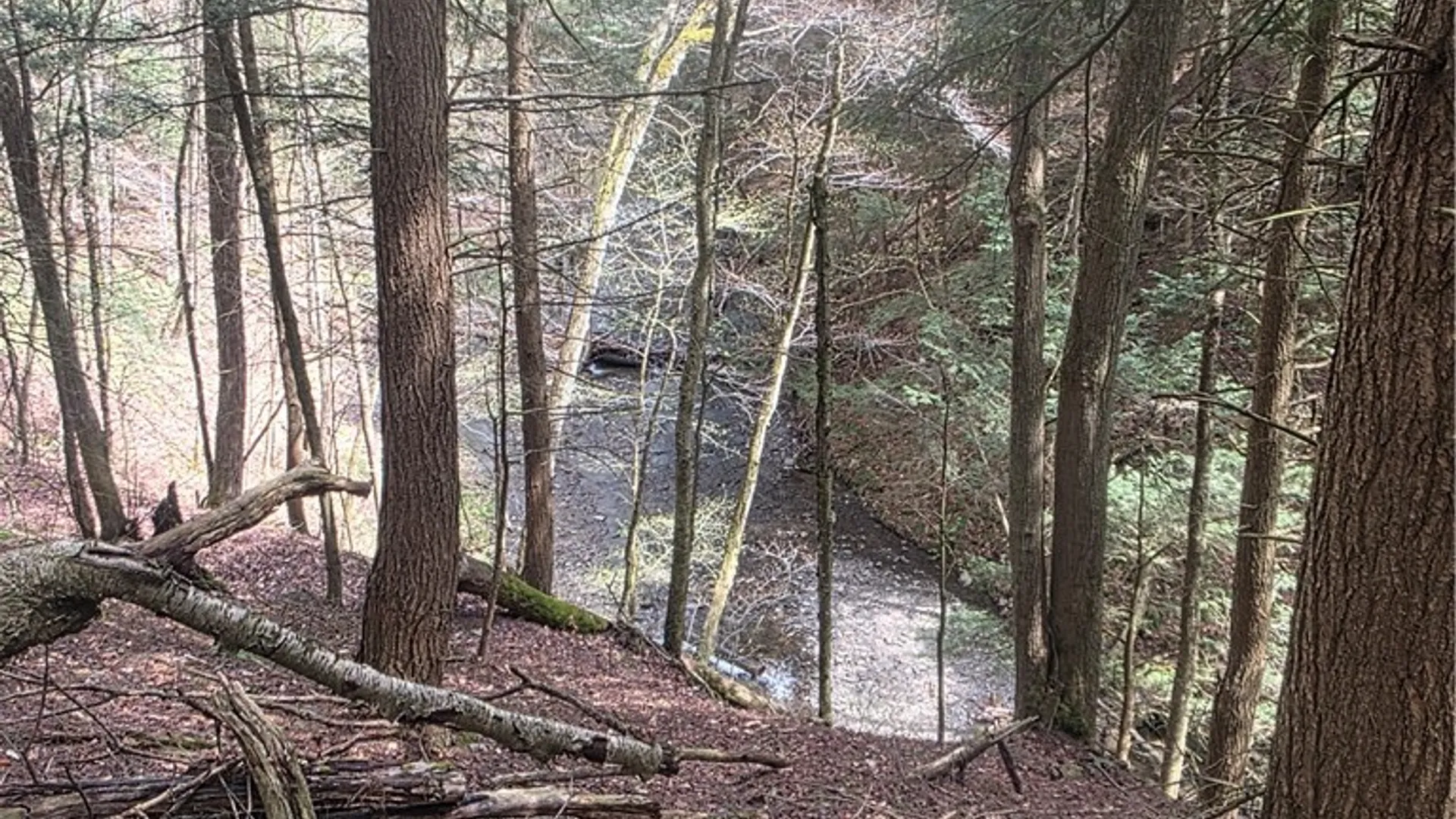 Property at Clarence Church Road, Otselic, NY 13155 26