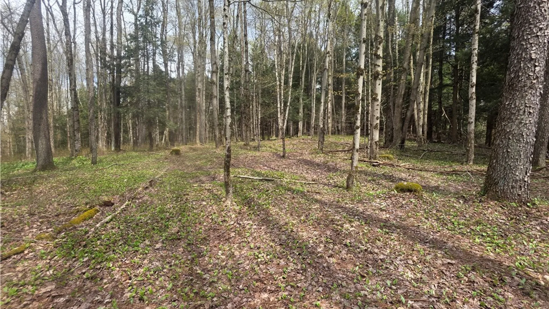 Property at Clarence Church Road, Otselic, NY 13155 28