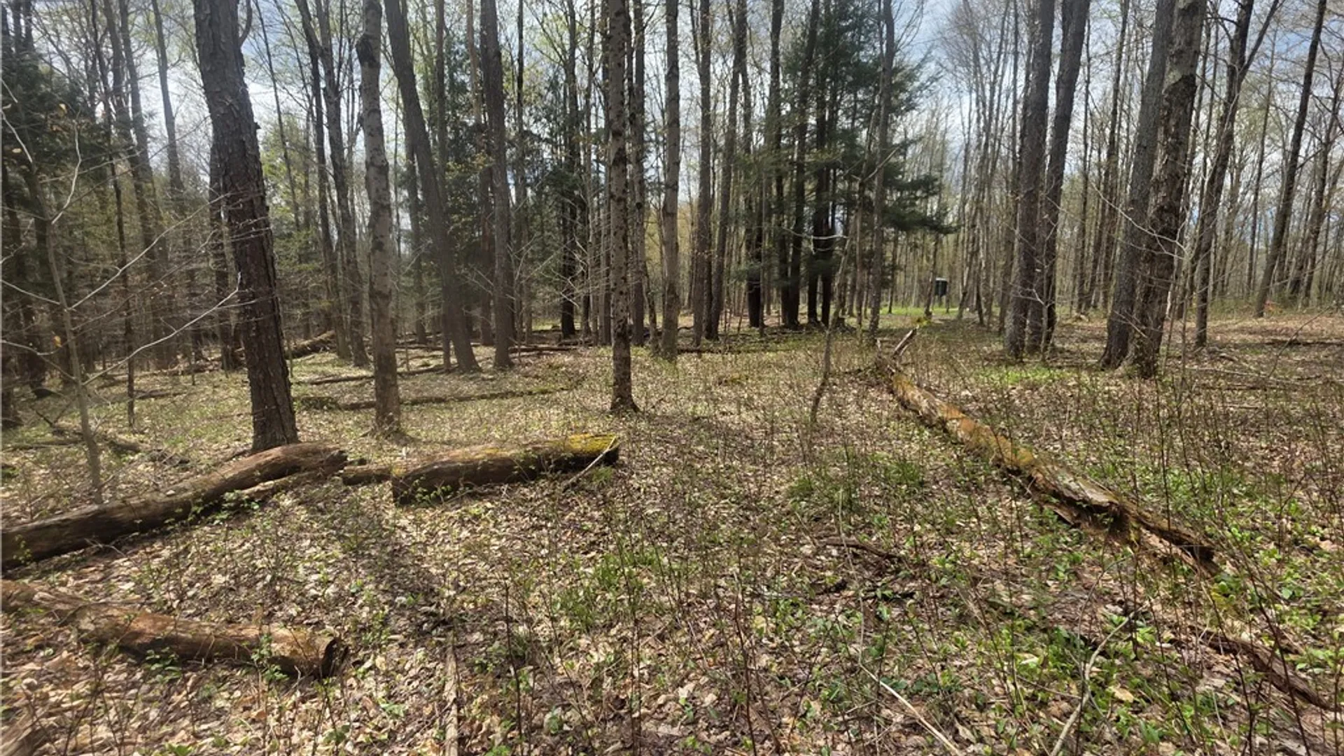 Property at Clarence Church Road, Otselic, NY 13155 29