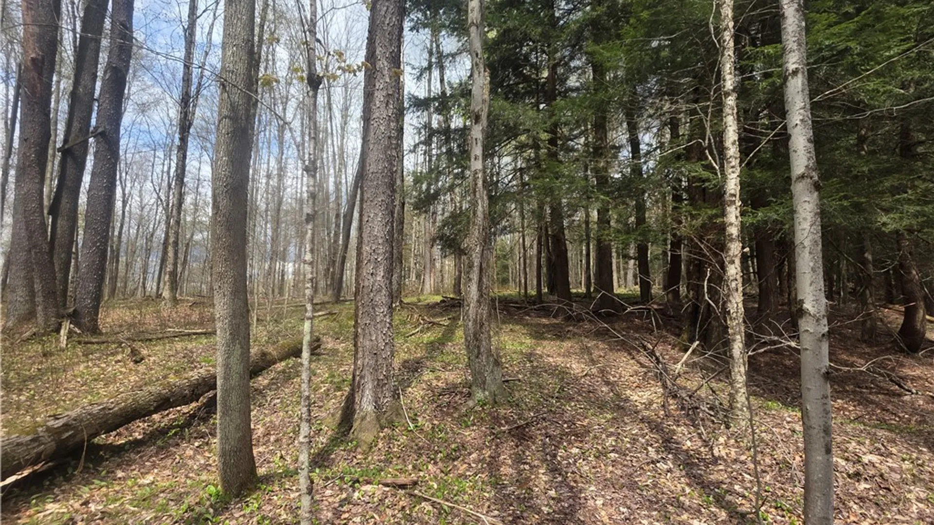 Property at Clarence Church Road, Otselic, NY 13155 30