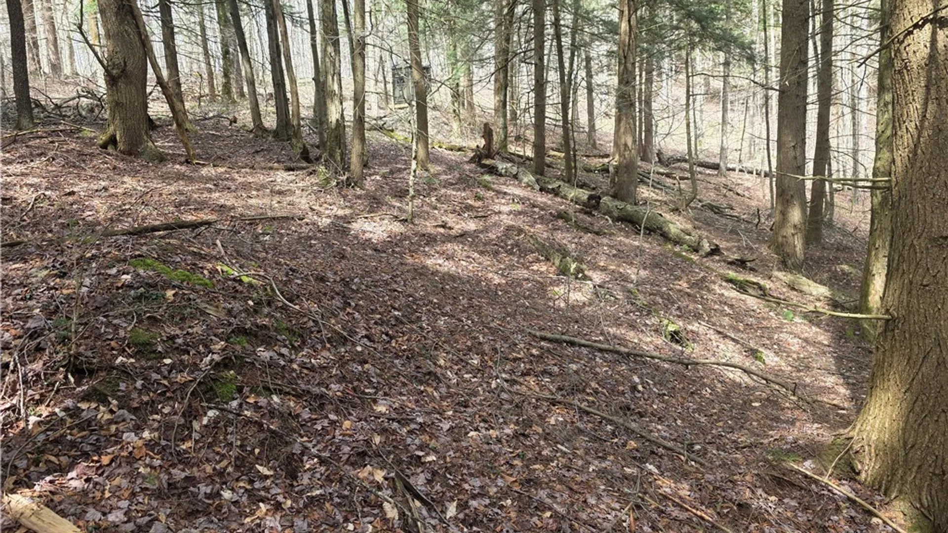 Property at Clarence Church Road, Otselic, NY 13155 31