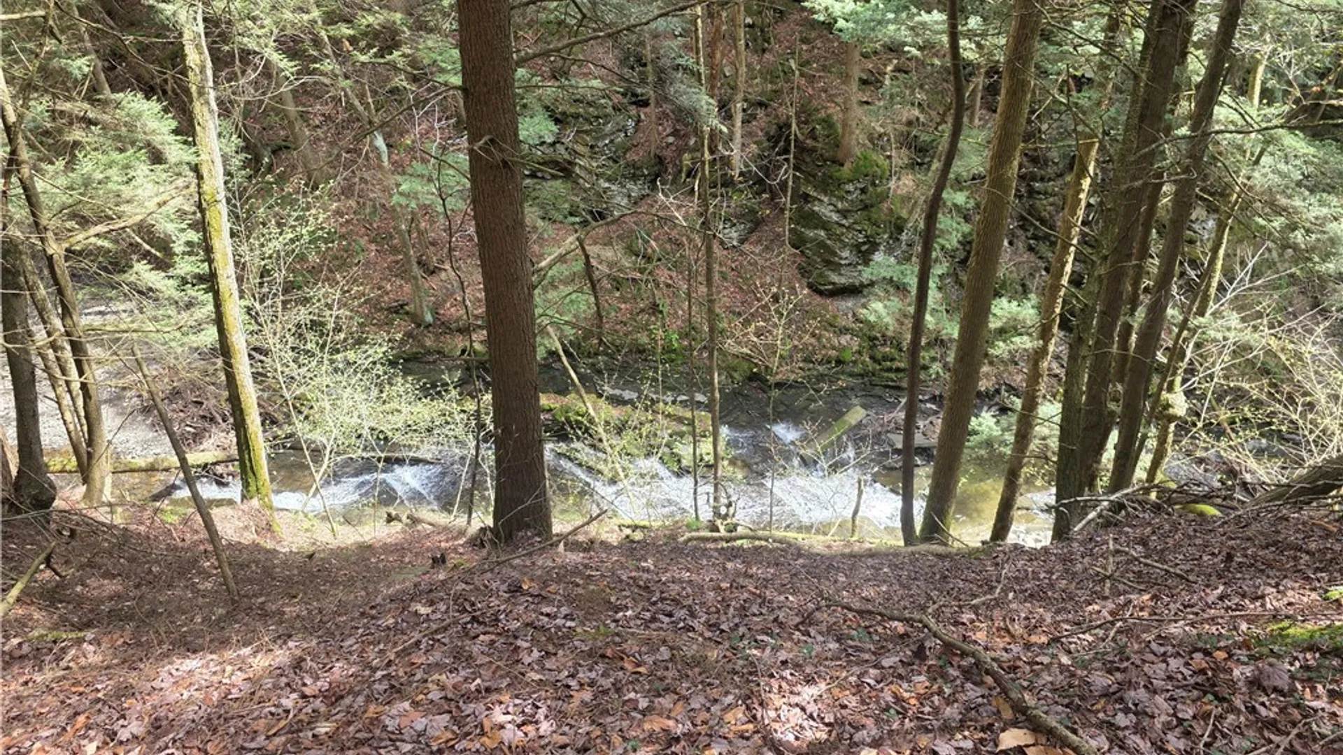 Property at Clarence Church Road, Otselic, NY 13155 32