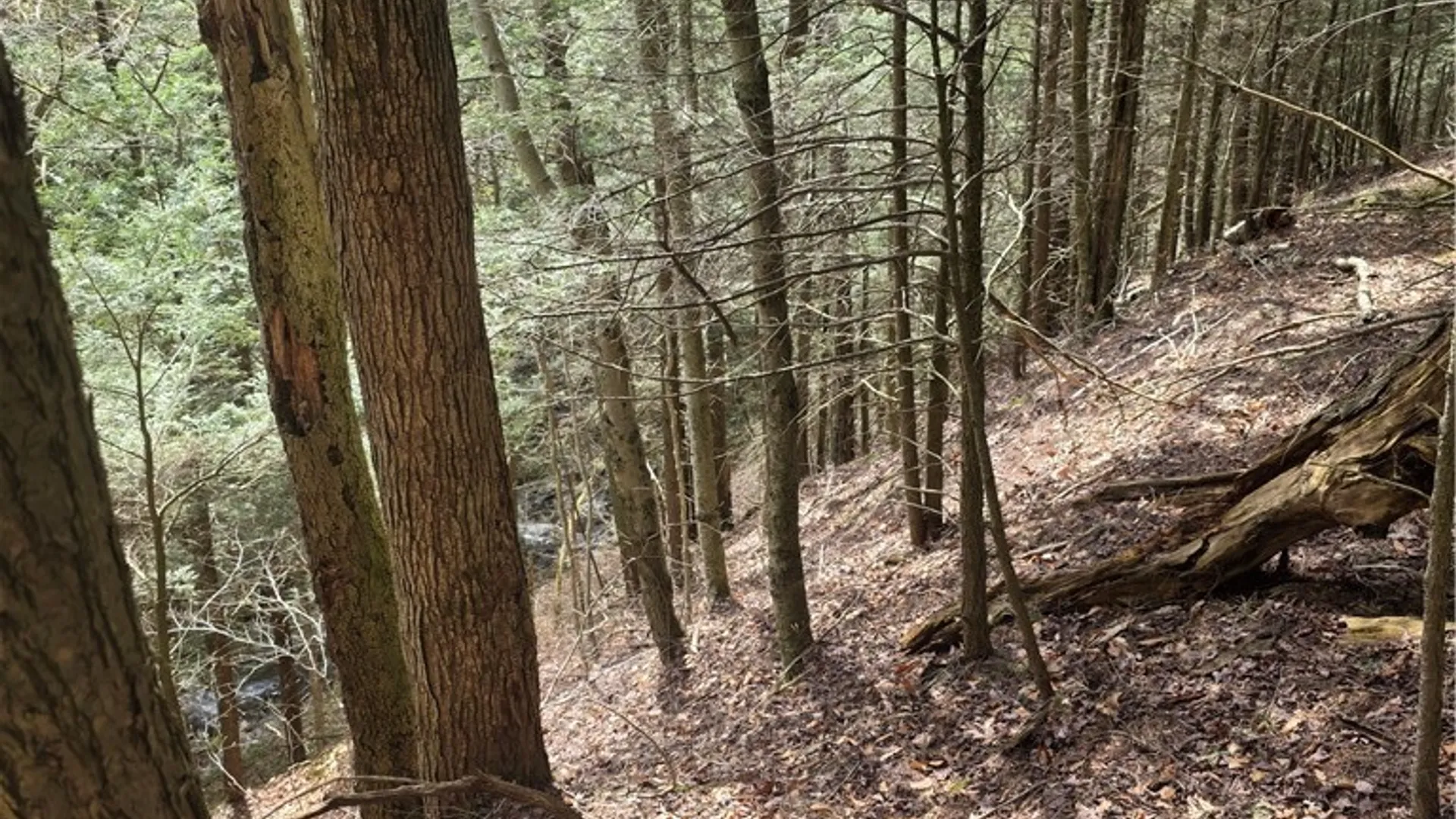Property at Clarence Church Road, Otselic, NY 13155 33