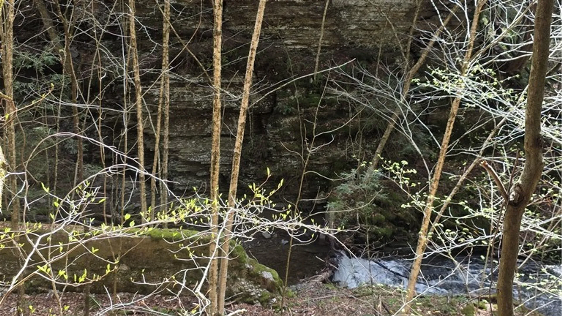 Property at Clarence Church Road, Otselic, NY 13155 34
