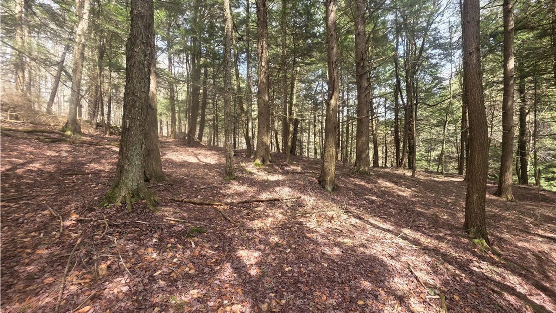 Property at Clarence Church Road, Otselic, NY 13155 35