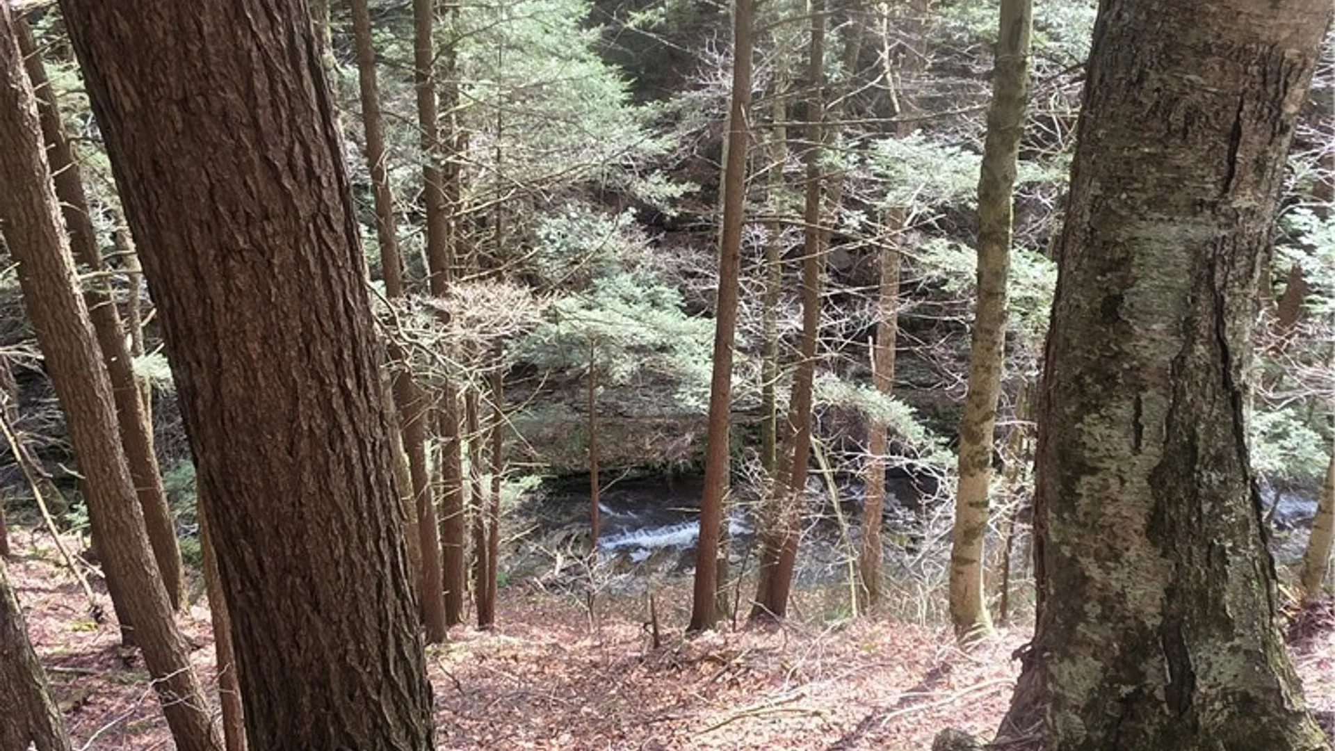 Property at Clarence Church Road, Otselic, NY 13155 36