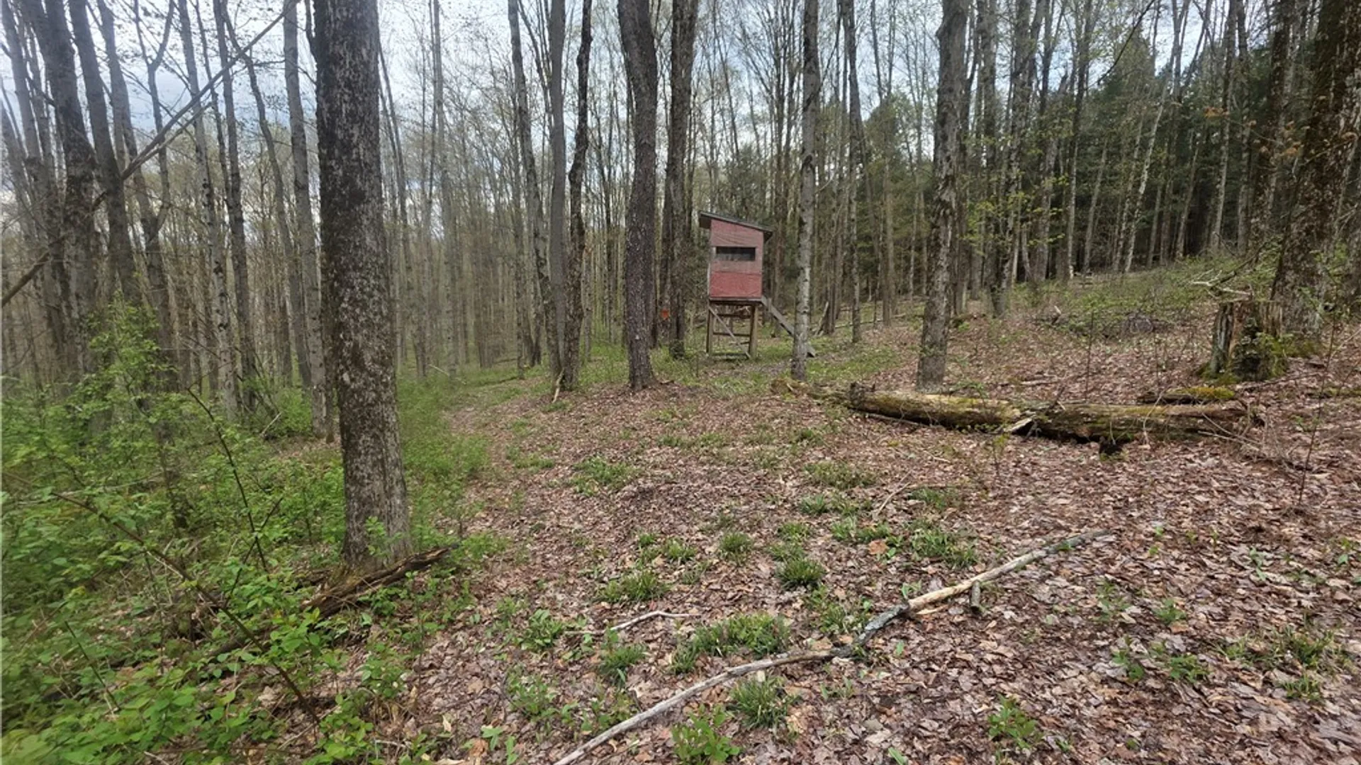 Property at Clarence Church Road, Otselic, NY 13155 37
