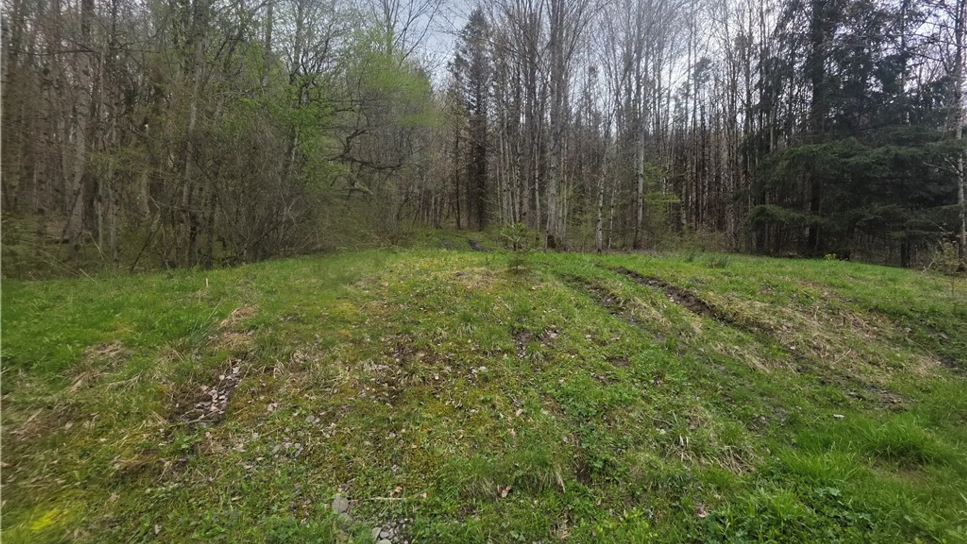 Property at Clarence Church Road, Otselic, NY 13155 4