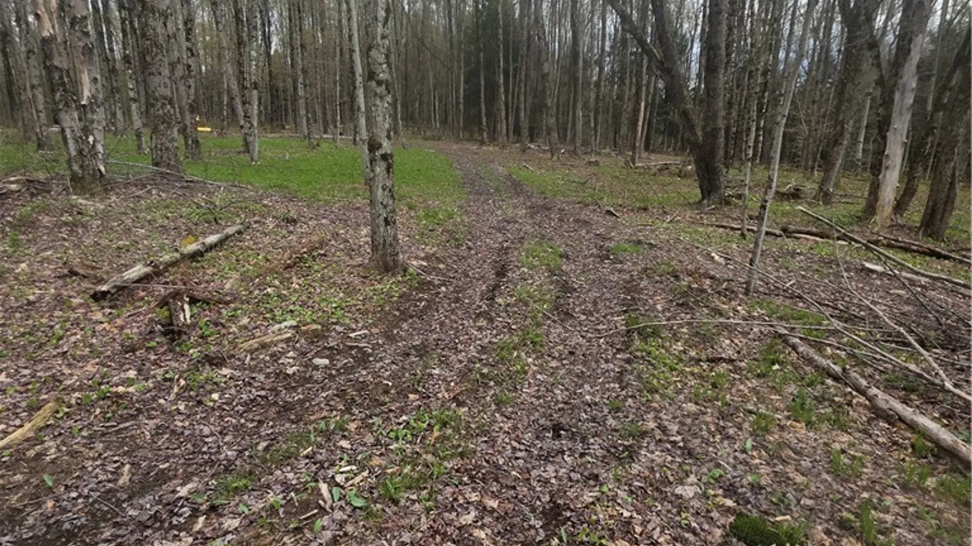 Property at Clarence Church Road, Otselic, NY 13155 9