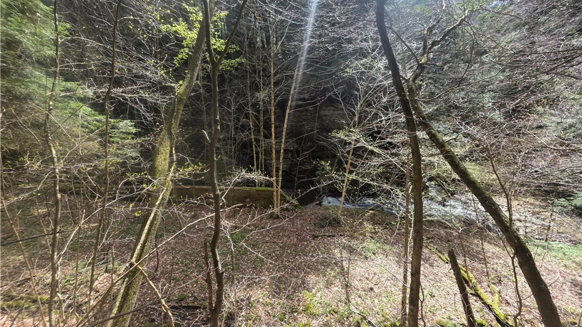 Property at Clarence Church Road, Otselic, NY 13155 10