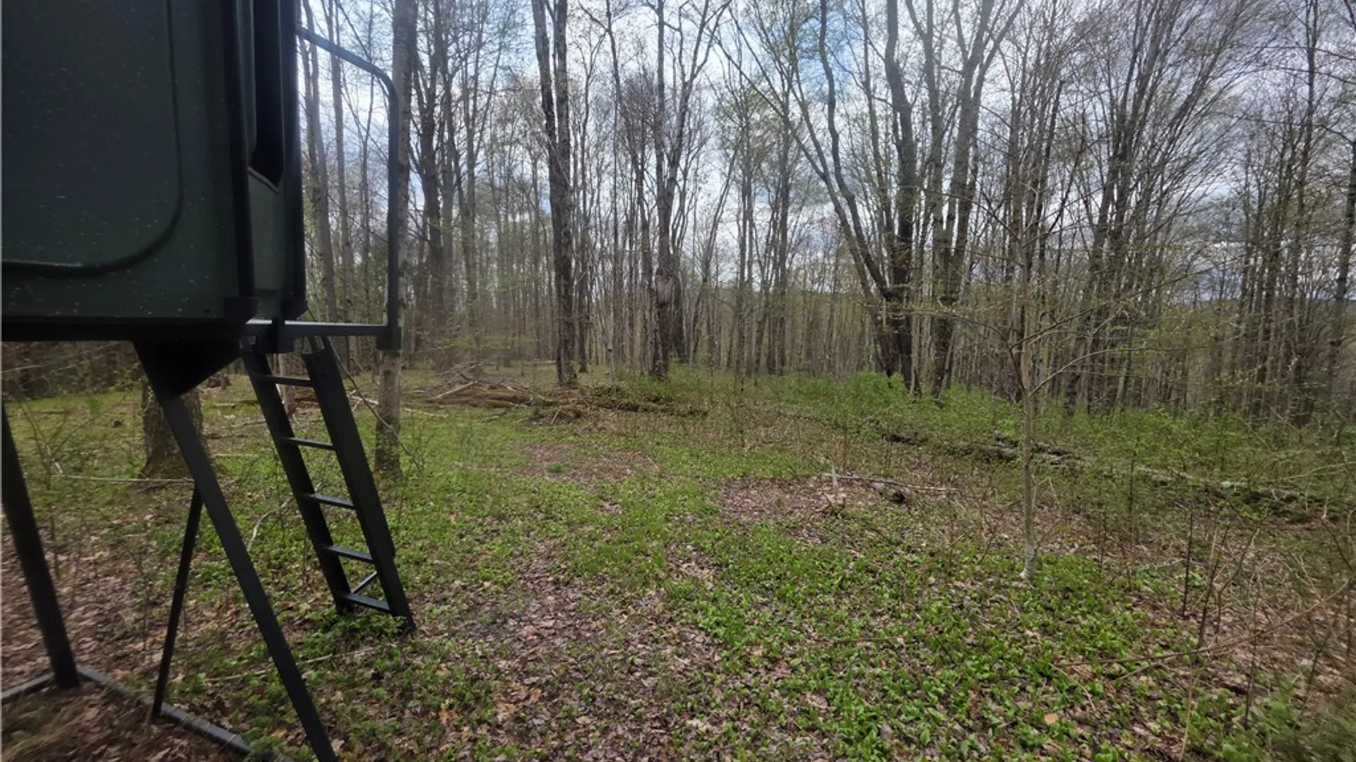 Property at Clarence Church Road, Otselic, NY 13155 11