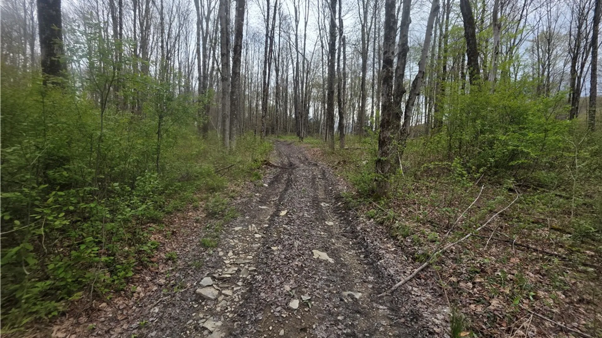 Property at Clarence Church Road, Otselic, NY 13155 12