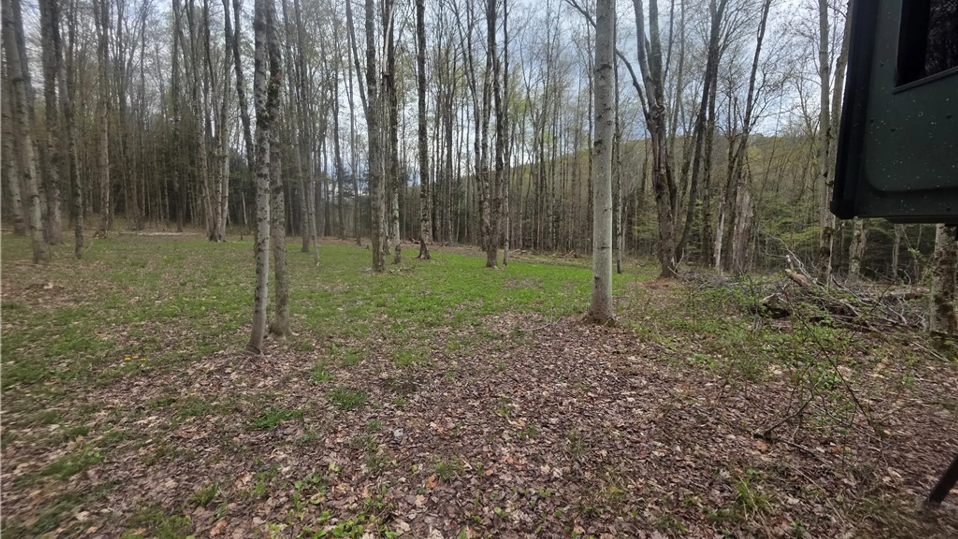 Property at Clarence Church Road, Otselic, NY 13155 13