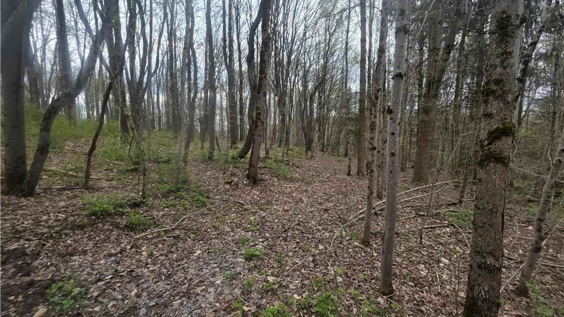 Property at Clarence Church Road, Otselic, NY 13155 14