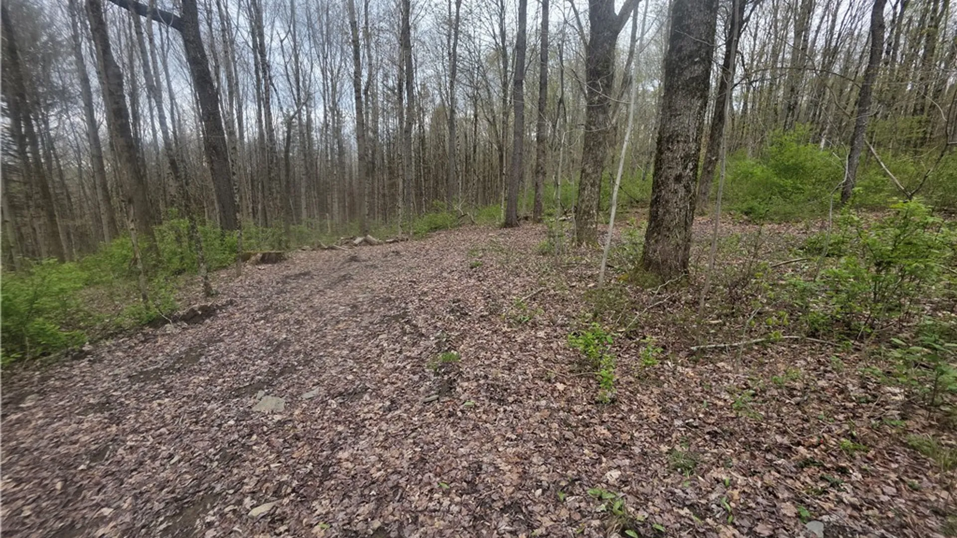 Property at Clarence Church Road, Otselic, NY 13155 15