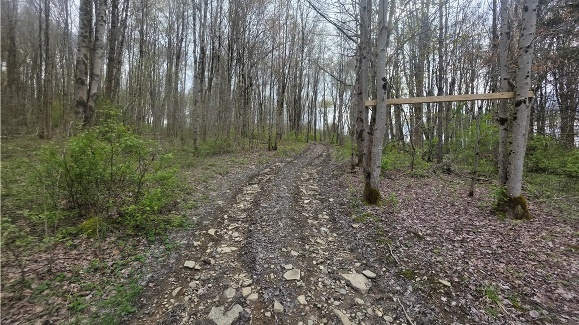 Property at Clarence Church Road, Otselic, NY 13155 16