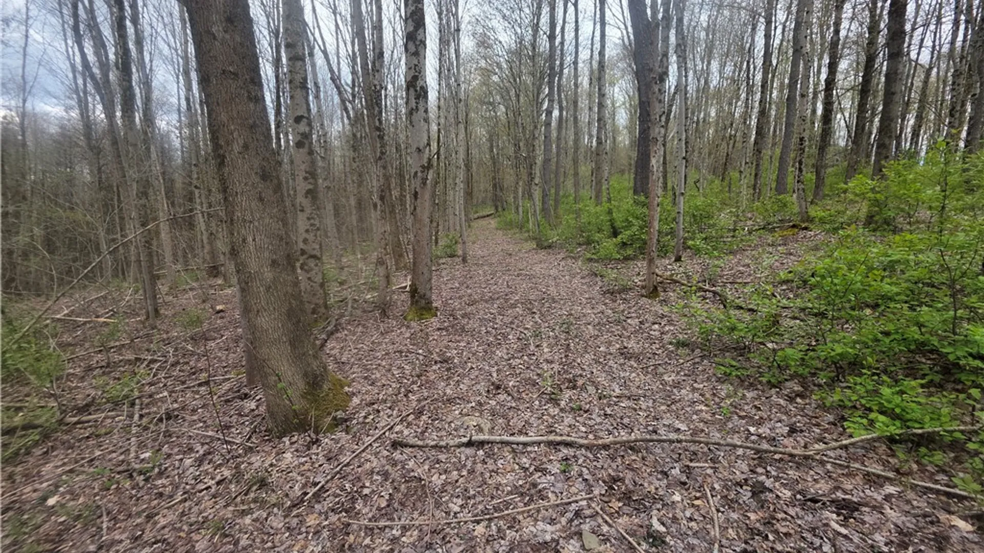 Property at Clarence Church Road, Otselic, NY 13155 17