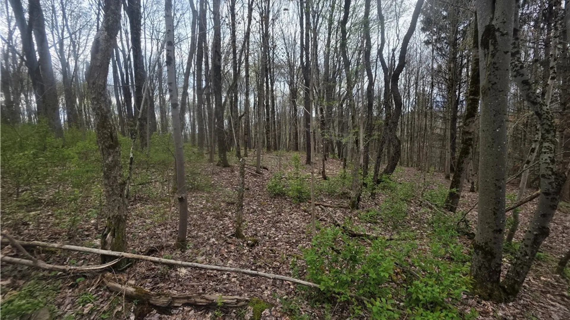 Property at Clarence Church Road, Otselic, NY 13155 18