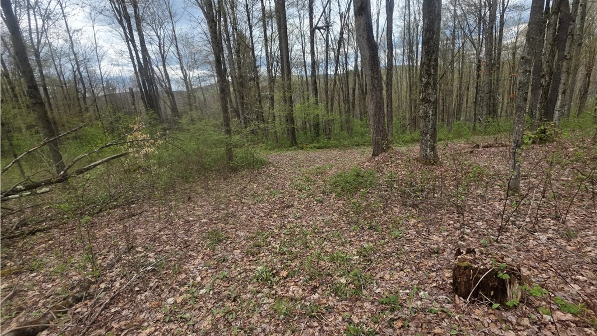 Property at Clarence Church Road, Otselic, NY 13155 21