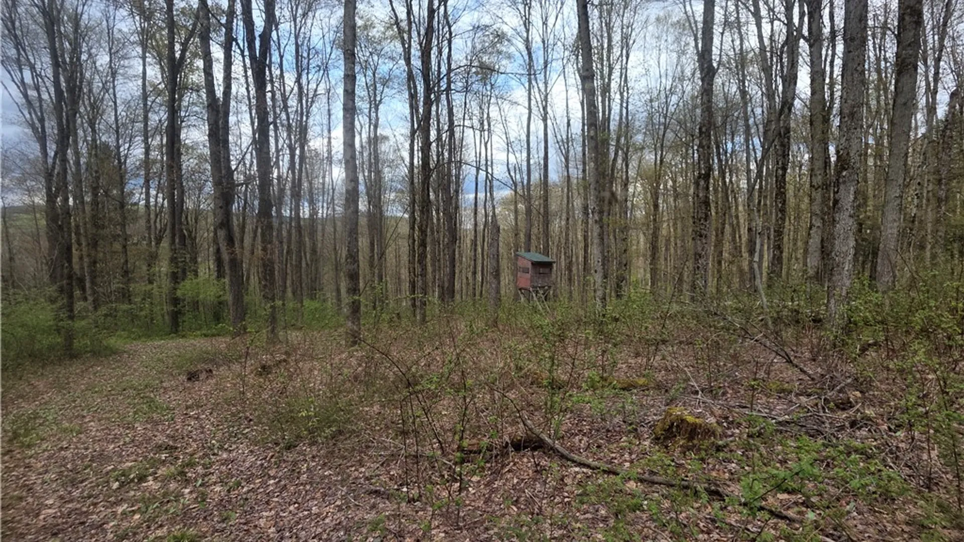 Property at Clarence Church Road, Otselic, NY 13155 22