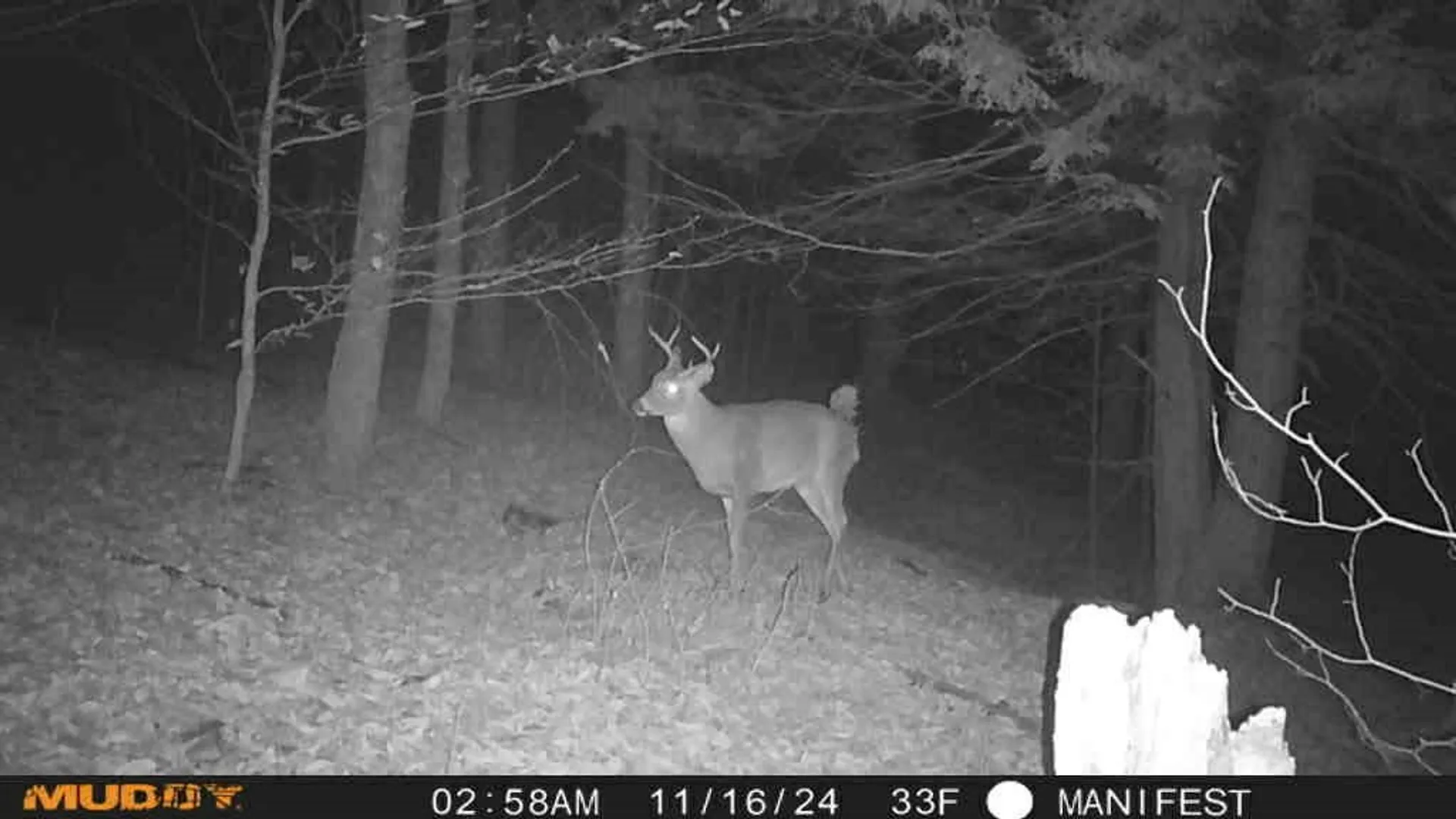Property at Clarence Church Road, Otselic, NY 13155 23