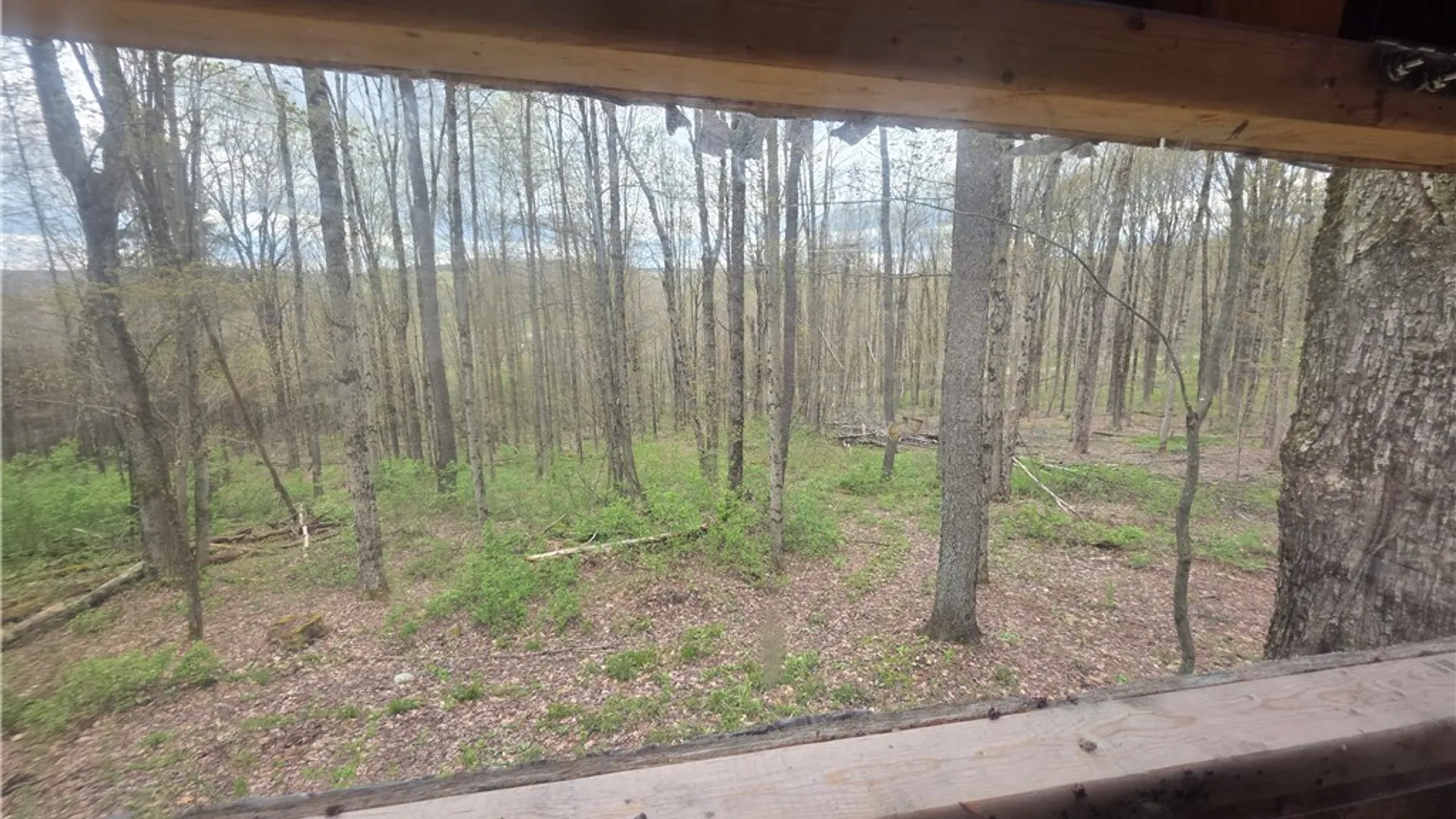 Property at Clarence Church Road, Otselic, NY 13155 45