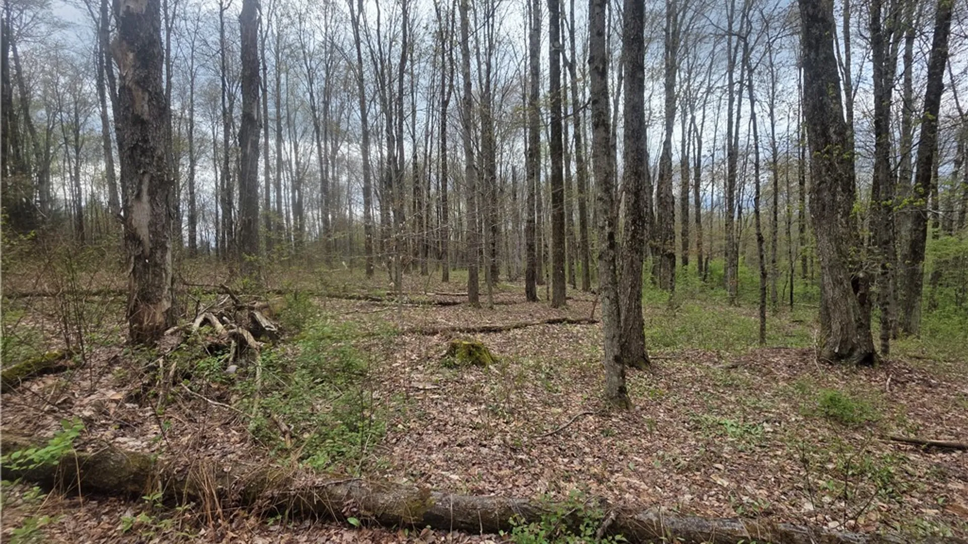 Property at Clarence Church Road, Otselic, NY 13155 46