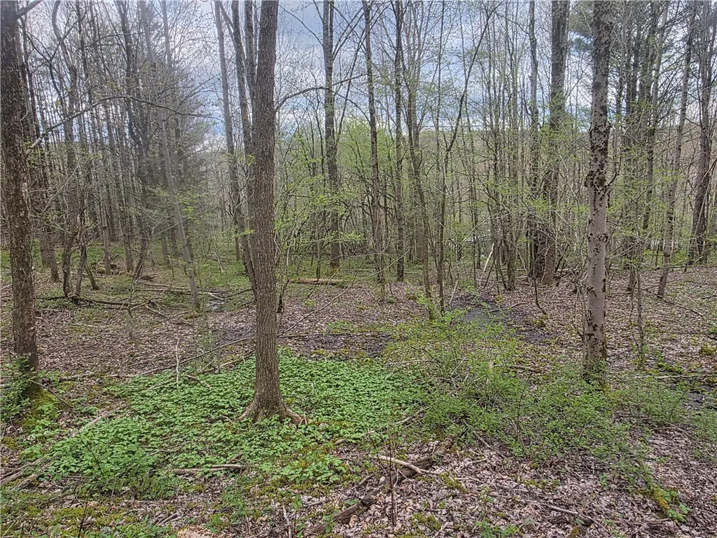 Property at Clarence Church Road, Otselic, NY 13155