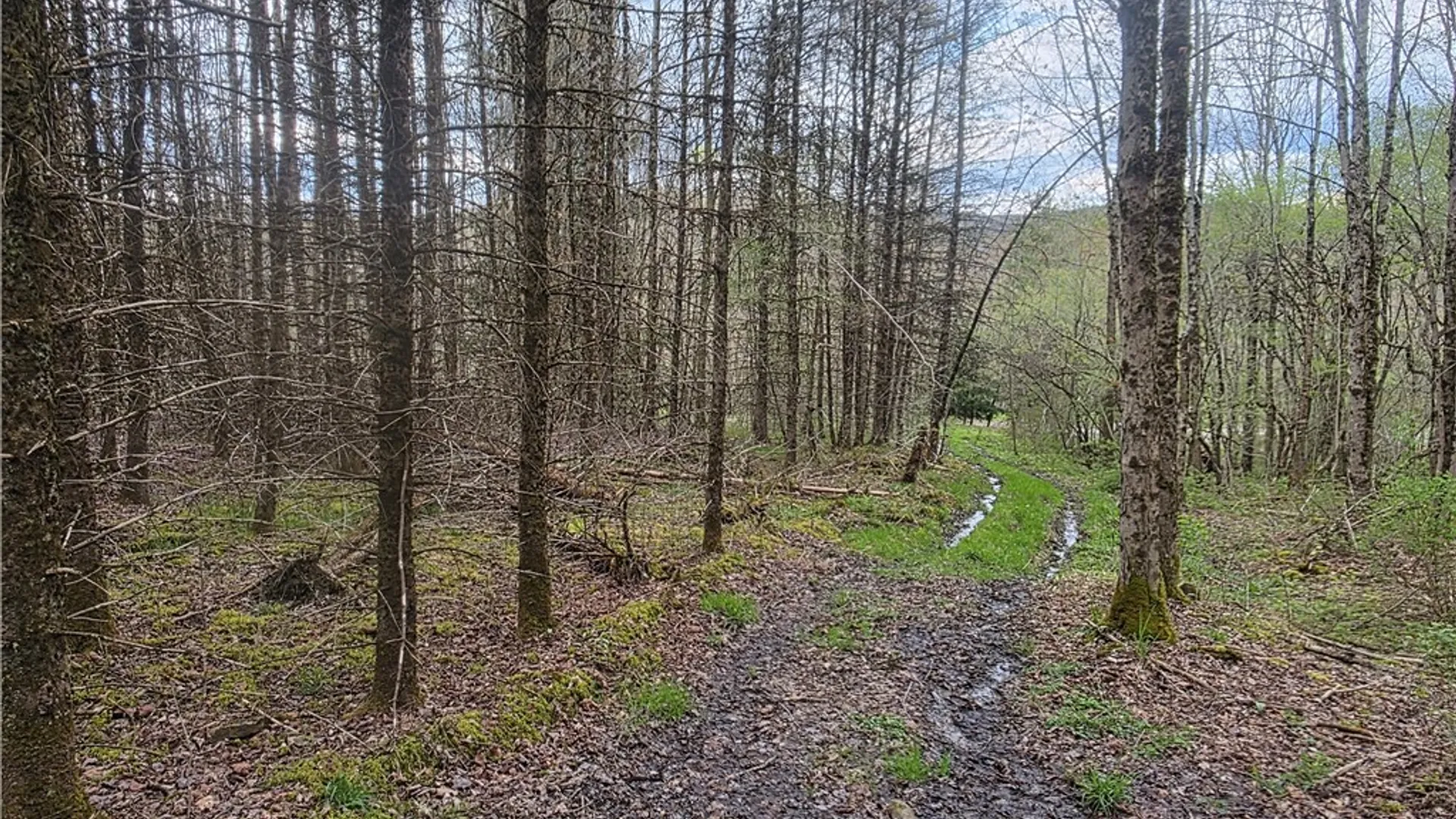 Property at Clarence Church Road, Otselic, NY 13155 47