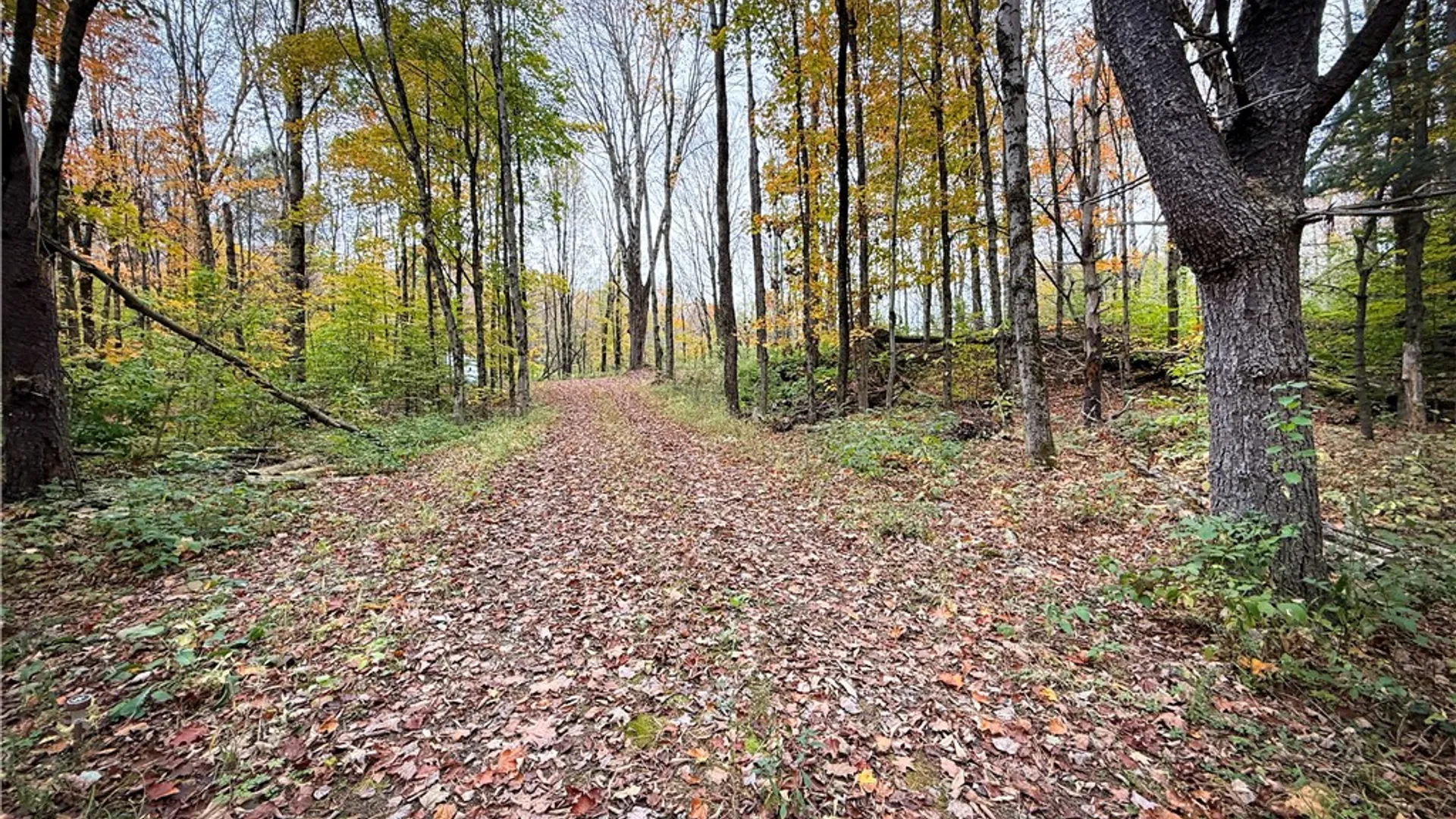 Property at 0 Trout Brook Drive, Orwell, NY 13144 12