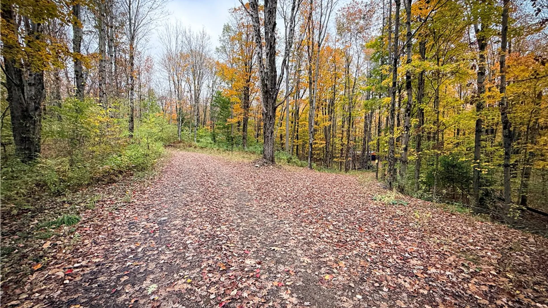 Property at 0 Trout Brook Drive, Orwell, NY 13144 20