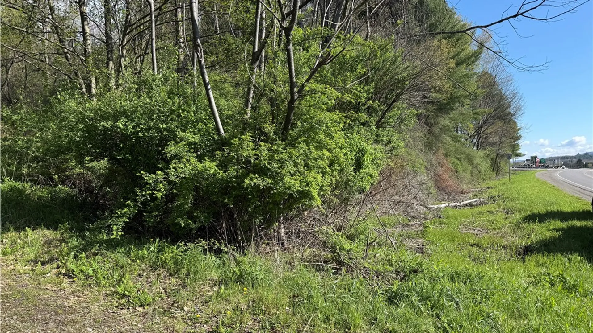 Property at 9155 Smith Road, Lindley, NY 14858 3