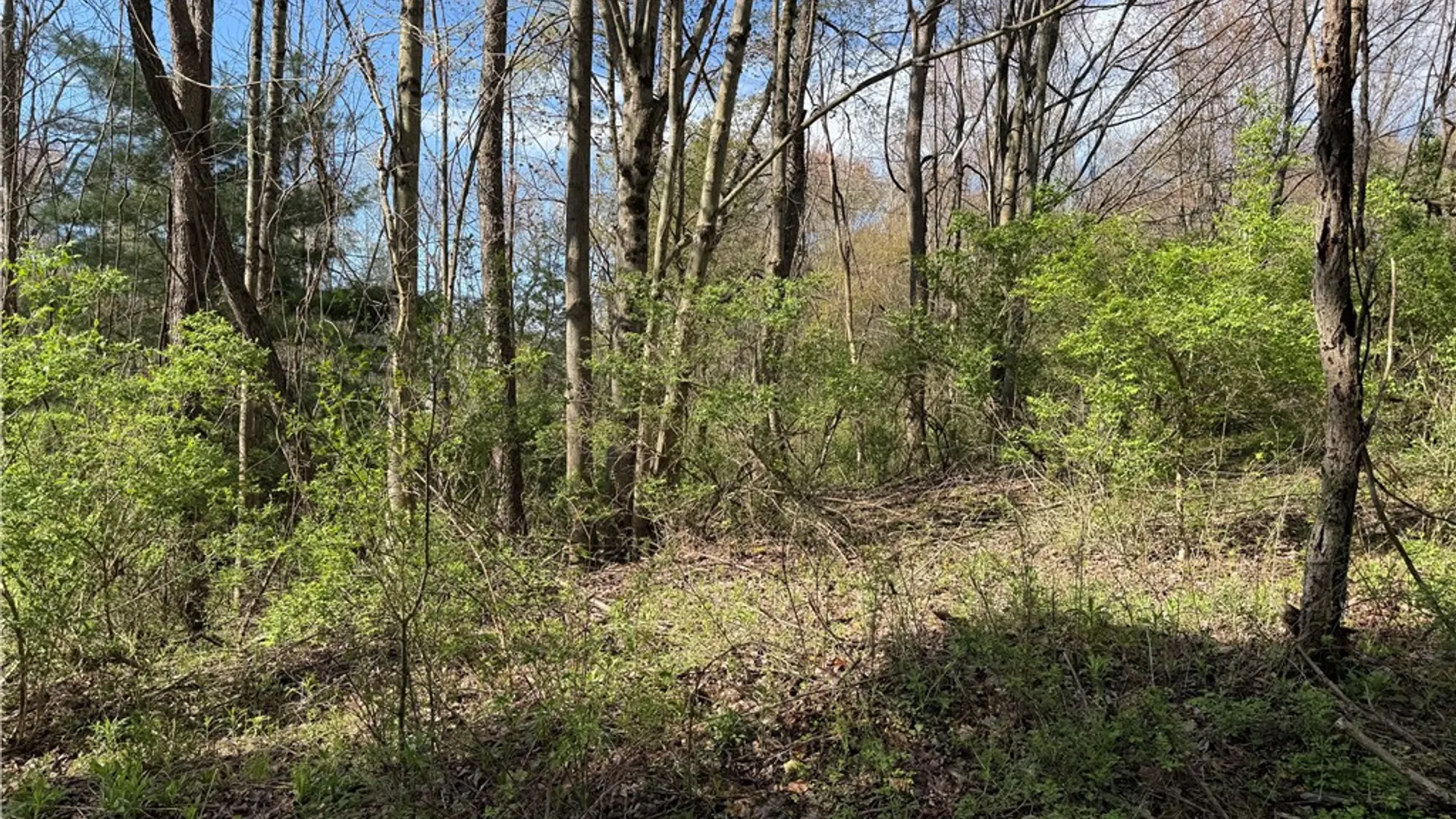 Property at 9155 Smith Road, Lindley, NY 14858 5