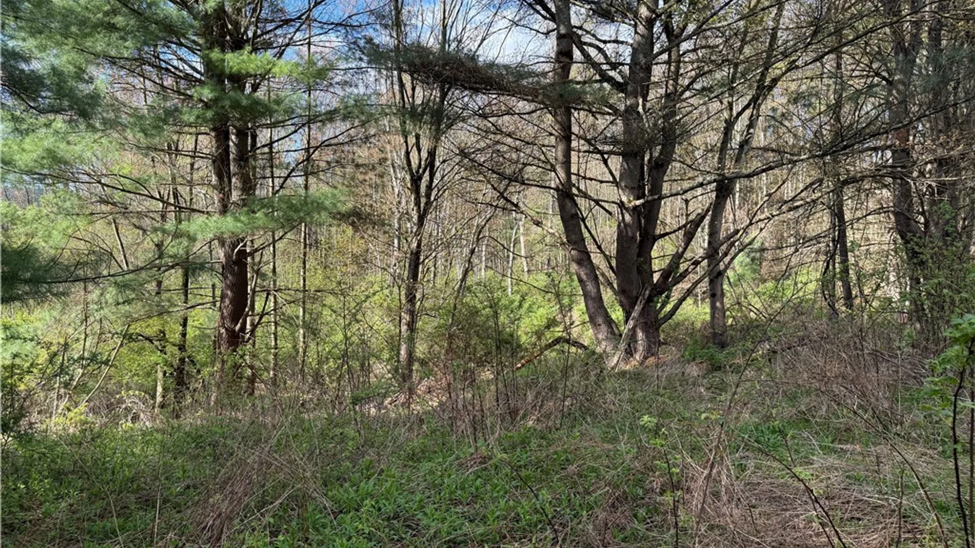 Property at 9155 Smith Road, Lindley, NY 14858 6