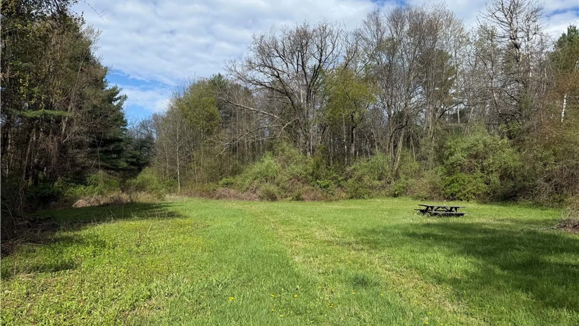 Property at 9155 Smith Road, Lindley, NY 14858 7