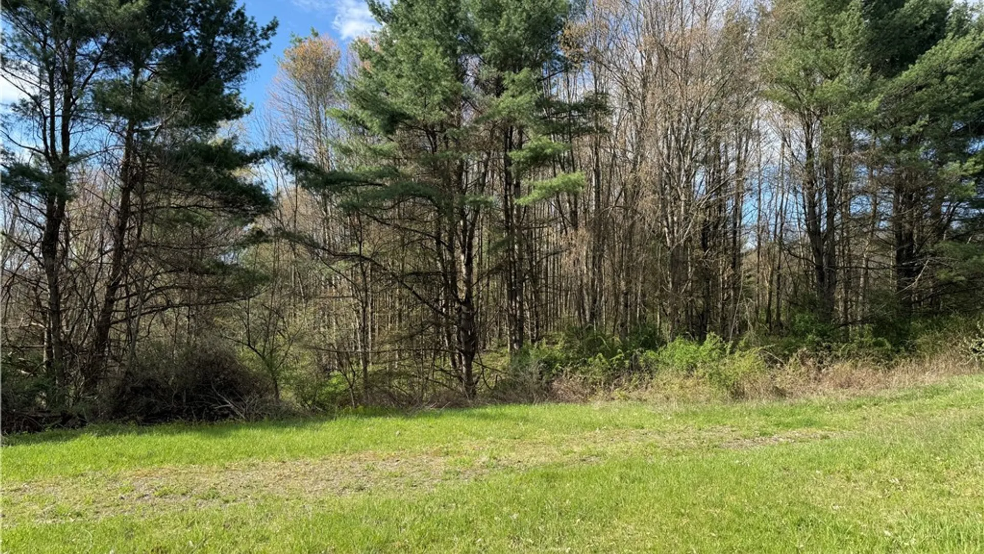 Property at 9155 Smith Road, Lindley, NY 14858 8