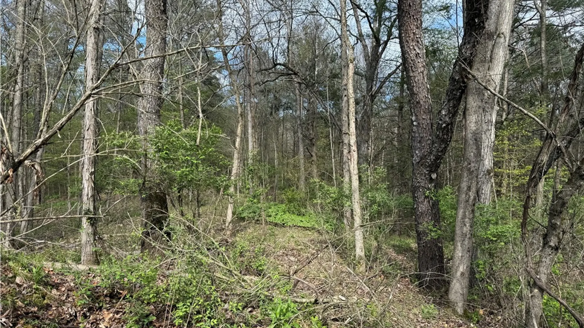Property at 9155 Smith Road, Lindley, NY 14858 9