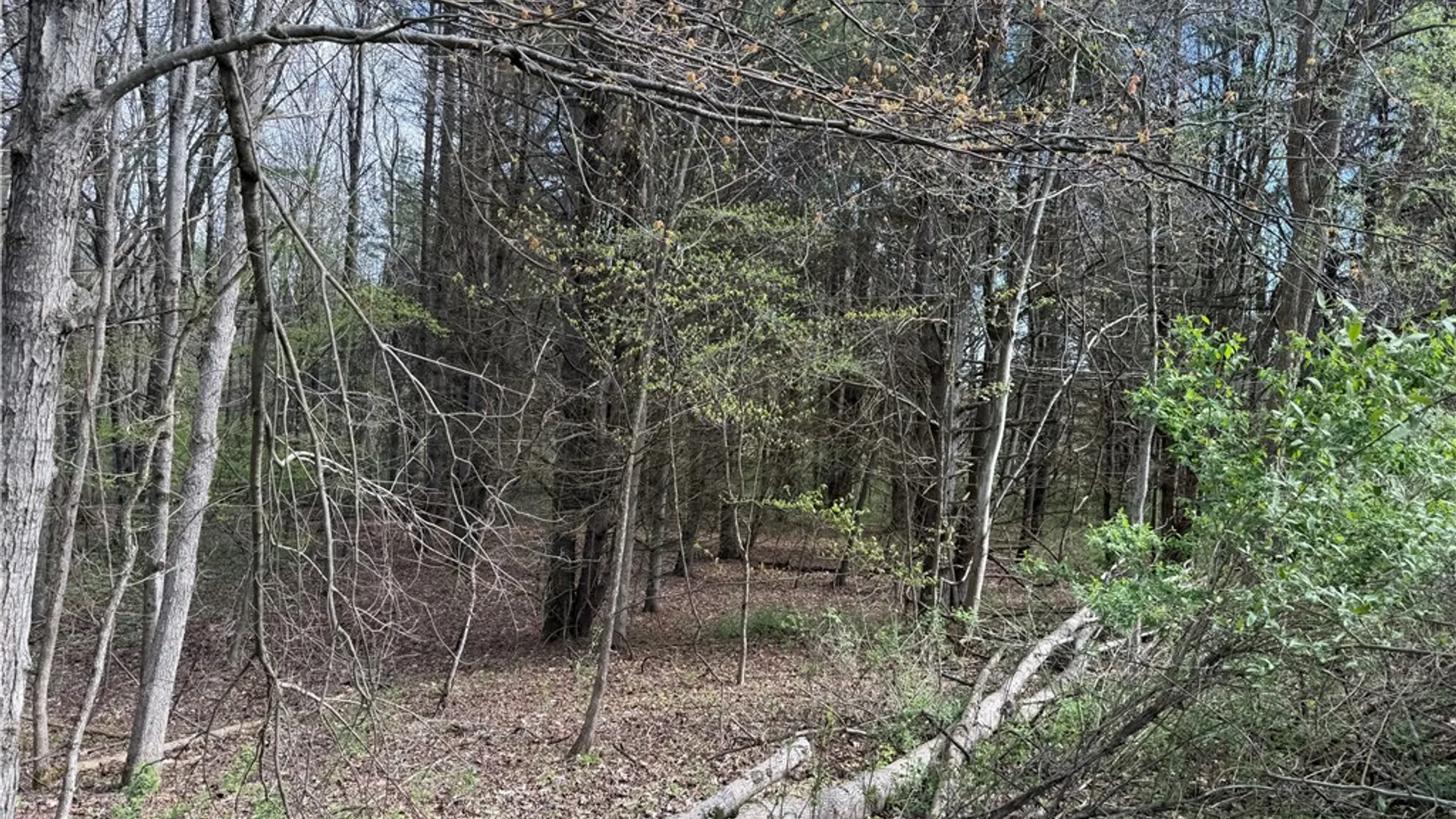 Property at 9155 Smith Road, Lindley, NY 14858 10