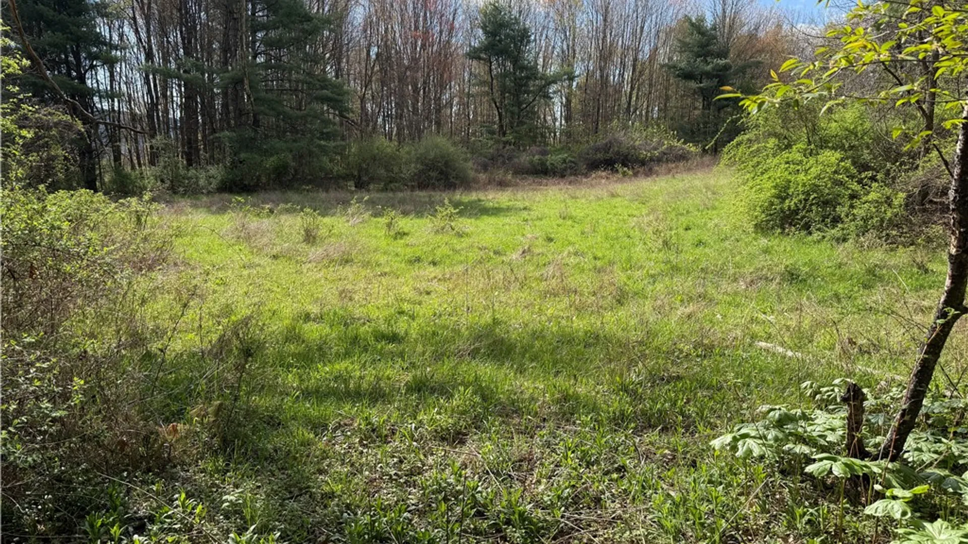 Property at 9155 Smith Road, Lindley, NY 14858 15