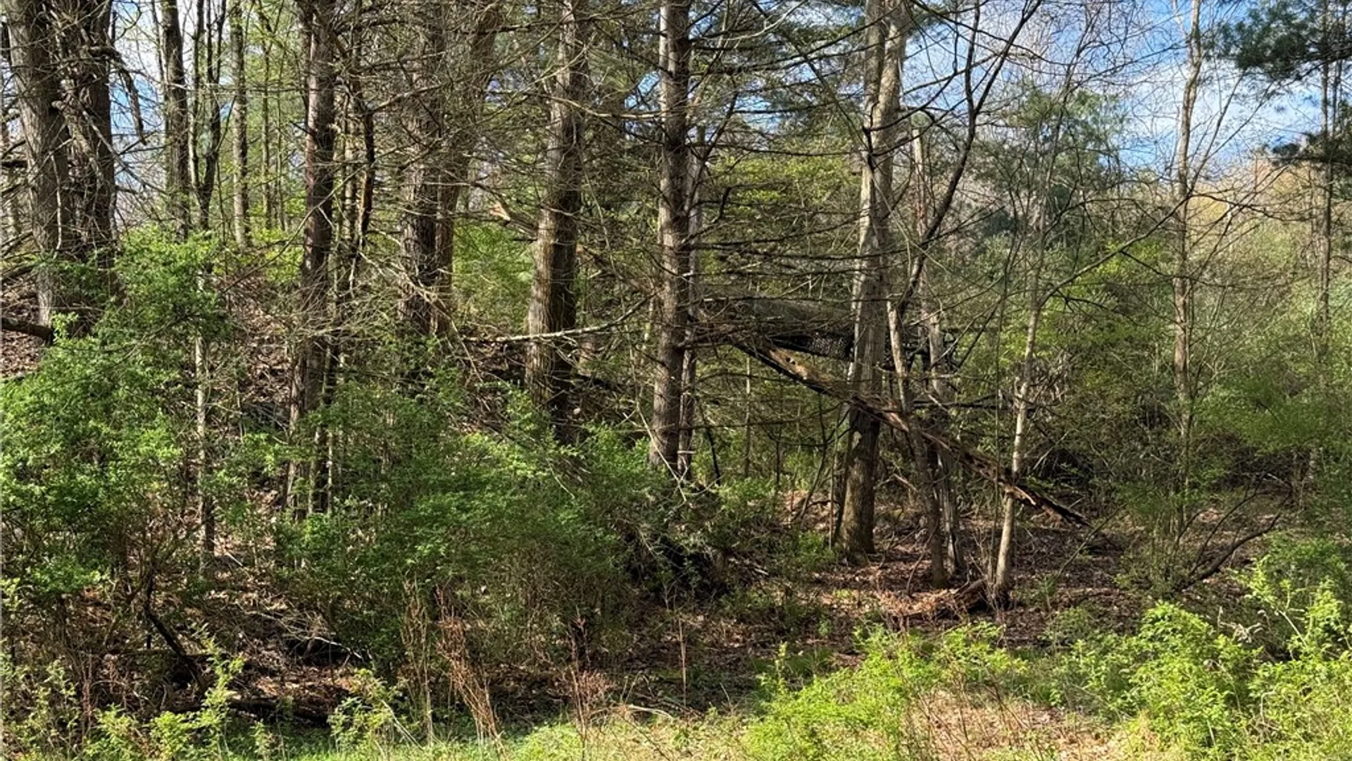 Property at 9155 Smith Road, Lindley, NY 14858 16