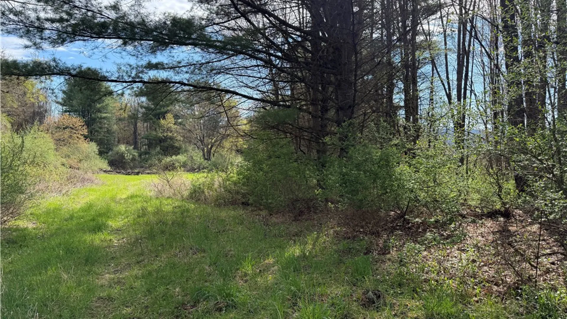 Property at 9155 Smith Road, Lindley, NY 14858 18
