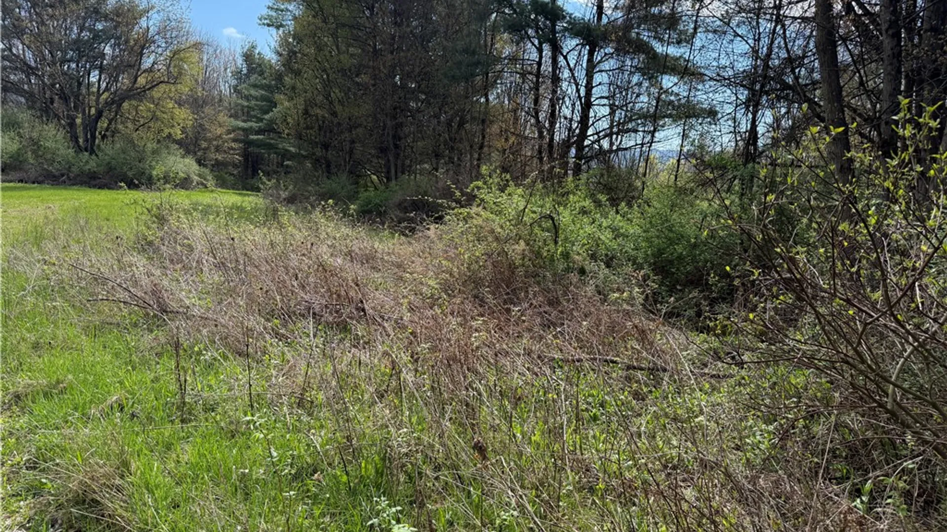 Property at 9155 Smith Road, Lindley, NY 14858 20